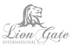 Liongate Business - Foreign language portals. Overview on a one page website and SEO for these overviews in foreign languages.