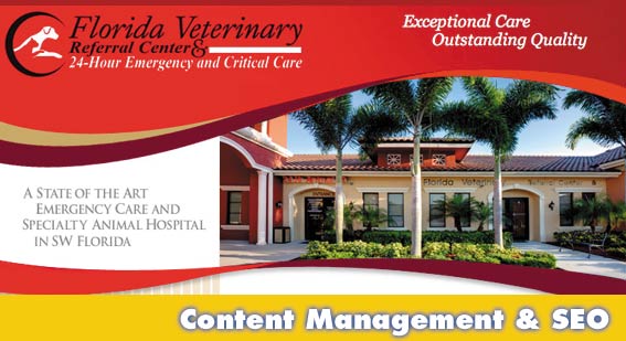 Content management and seo Sarasota veterinary website Content management and seo Sarasota veterinary website