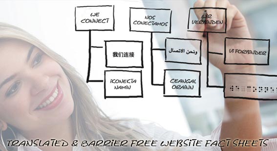 Barrier Free Website Design Sarasota