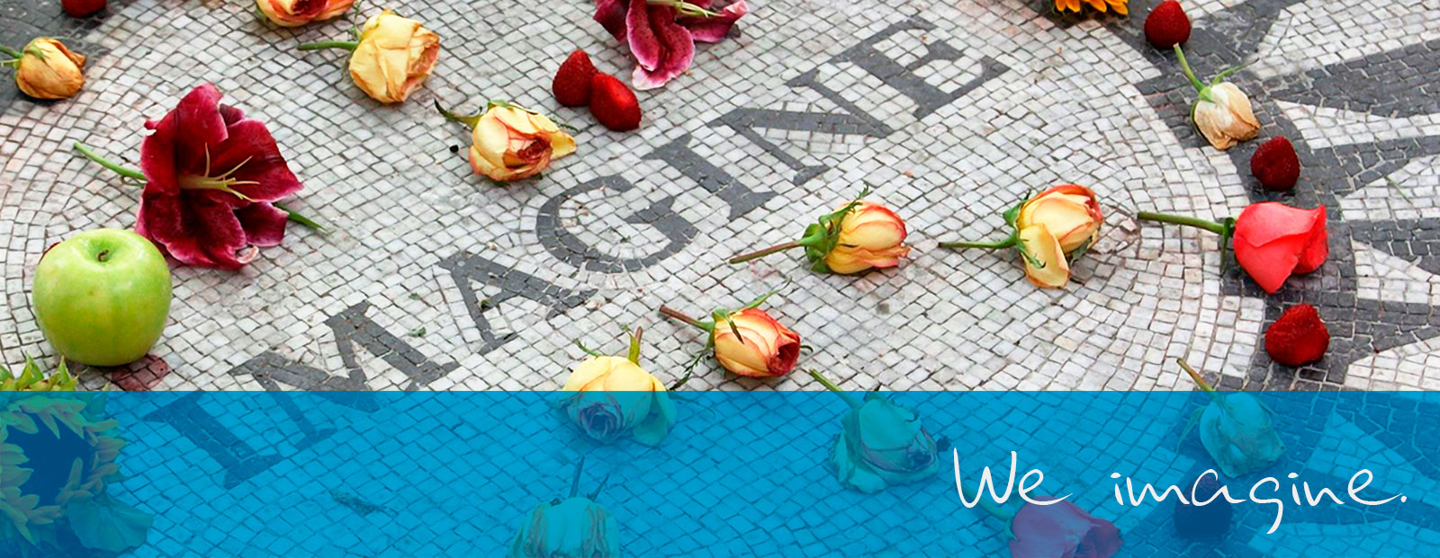 digital marketing sarasota