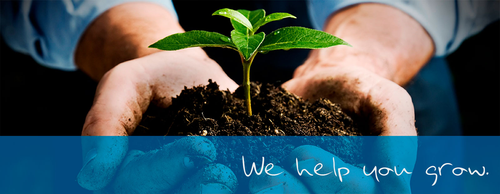 marketing ideas to grow your business