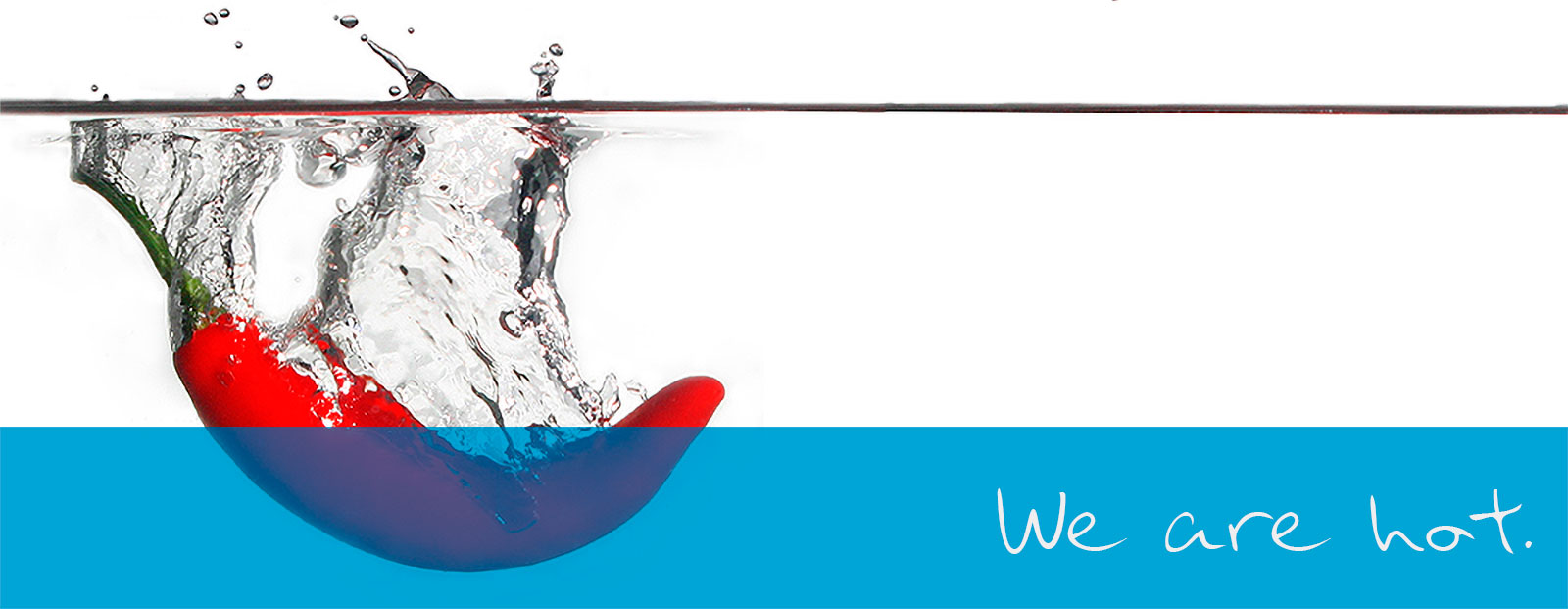 latest trends in sarasota web design & SEO